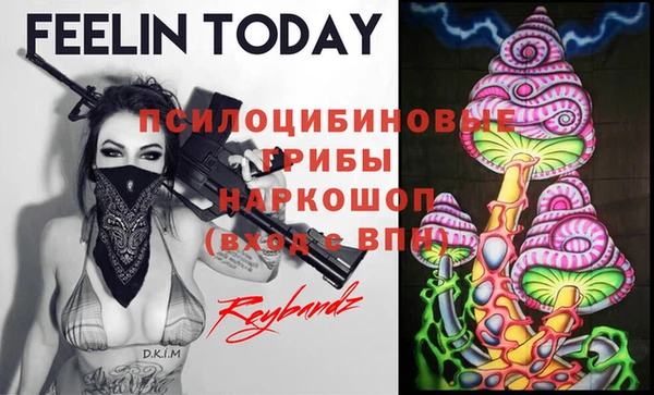 стафф Беломорск