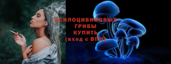 таблы Белокуриха