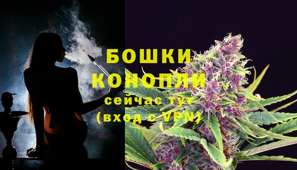 2c-b Богородск