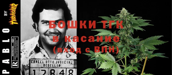 гашик Богородицк