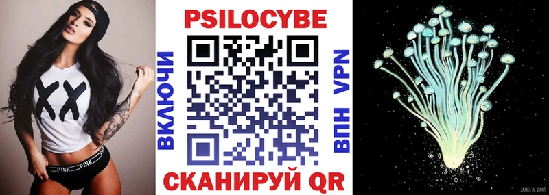 Купить закладки  Стрежевой  Галлюциногенные грибы Psilocybe 